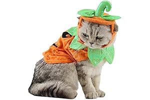 ANIAC Ghost Cat Costume