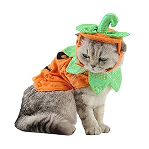 ANIAC Pet Pumpkin Costume Cat Halloween Hat Cloak Sets Puppy Poncho Dog Halloween Cosplay for Kitty Small Medium Sized Dog