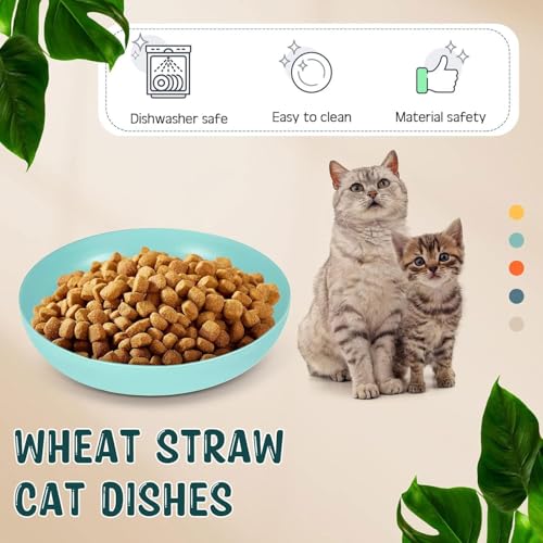 10 Stück Katzennapf,Katzenschüssel,Katzennapf Flach,Fressnapf Katze Futternapf,Runden Katzenteller,Fressnapf Katze,Bunt Katzenfutter Napfset,Cat Plate für Kätzchen und kurzbeinige Katzen