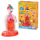 Wow in The World The Amazing Human Body Kit by Thames & Kosmos, Interactive Mechanical Anatomy Model w/Pumping Heart, Lungs, Digestive Tract, Glow-in-The-Dark Bones, Brain & More, Science for Ages 4+