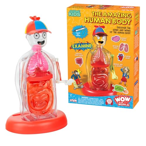 Wow in The World The Amazing Human Body Kit by Thames & Kosmos, Interactive Mechanical Anatomy Model w/Pumping Heart, Lungs, Digestive Tract, Glow-in-The-Dark Bones, Brain & More, Science for Ages 4+