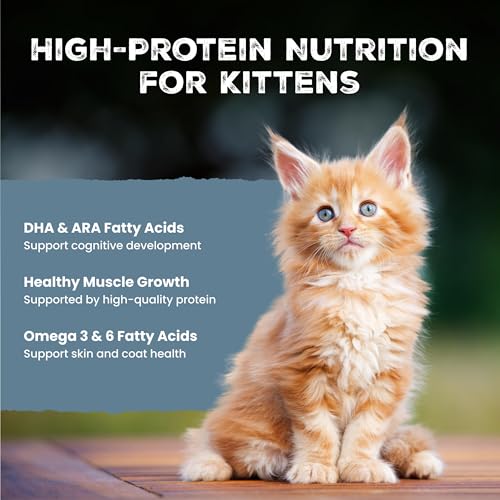 Image of Blue Buffalo Wilderness Kitten Grain-Free Salmon Pate Wet Cat Food with DHA, High-Protein & Made with Natural Ingredients, Supports Healthy Growth & Development, 3-oz. Cans (24 Count)