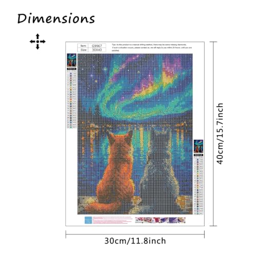 Image of MBNTJHT Cat Diamond Painting Kits for Adult Beginners,Aurora Scenery Diamond Art Kits for Adults,DIY 5D Full Drill Starry Night Gem Art and Crafts for Home Decor Gifts 12X16 Inch.