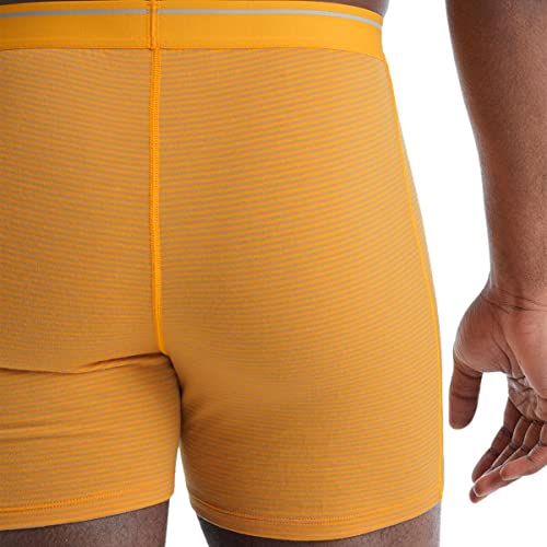 Image of icebreaker mens Merino 150 Anatomica Boxers