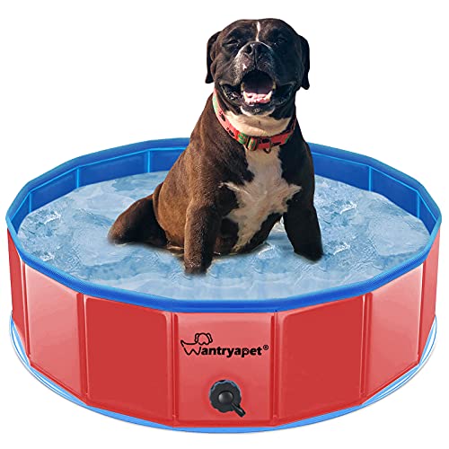 WANTRYAPET Foldable Dog Pet Bath Pool, 31.5   Diameter Small Collapsible Wading Pool Pits Ball Pool, Plastic Portable Bathing Swimming Tub Kiddie Pool for Dogs Cats and Kids Indoor & Outdoor Use, Red