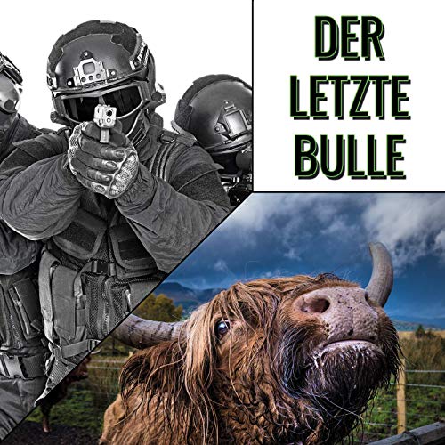 Der letzte Bulle - Schule des Lebens Titelbild