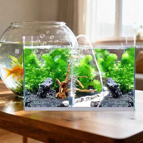 Bulleur oxygène avec accessoires pompe à air aquarium eau douce
