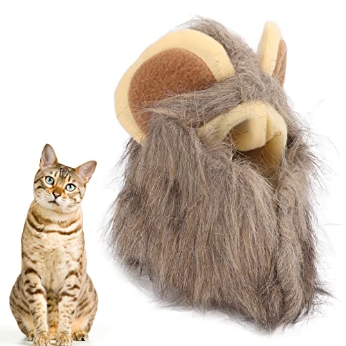 Gato Juba De Leão Traje De Halloween,Gatinho Chapéu De Leão Gato, Cachorrinho De Pelúcia Traje De Ga