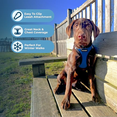 Image of Best Pet Supplies - All Weather Plush, Reflective, No Pull Harness for Small, Medium Dogs, Cats - Secure with Hook & Loop Fastener, Buckle, Double D-Rings - Royal Blue Faux Leather, S