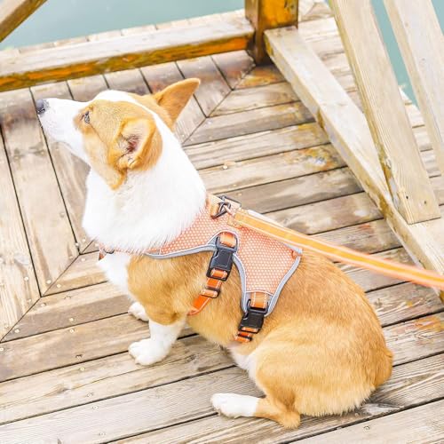 BELPRO Mehrzweck-Hundegeschirr, ausbruchsicher, kein Ziehen, reflektierend, verstellbare Weste mit strapazierfähigem Griff, Hundegeschirr für große/aktive Hunde(Orange, S)