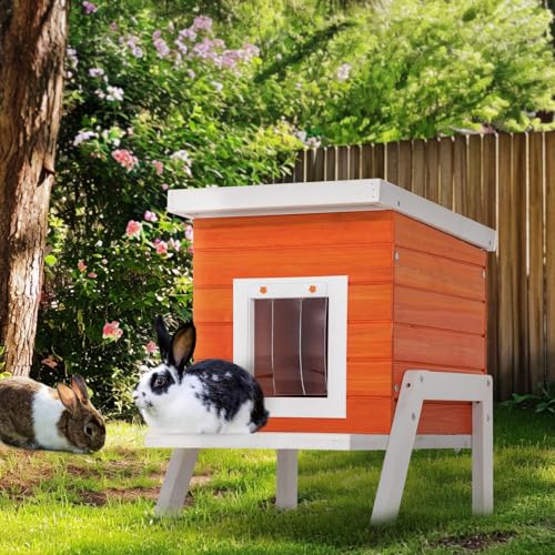 How to Keep Possums Out of Cat House 06 Effective Methods