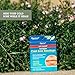 Quantum Health Lip Clear Invisible Cold Sore Patches for Lips Help Soothe Shield & Hide Cold Sores - Helps Prevent Contamination - Fever Blister Bandages for Women & Men - 12 Count