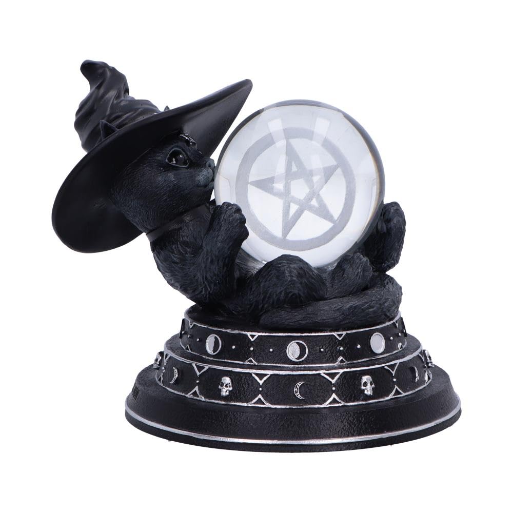 Blue Pirate Silver/Black/Dark Purrah's Fortune 12.2Cm