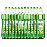fit Grüne Kraft