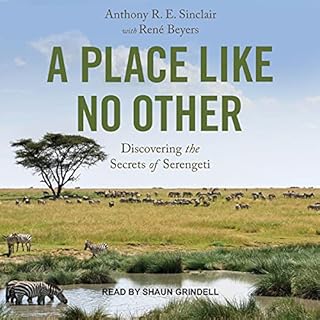 A Place Like No Other cover art