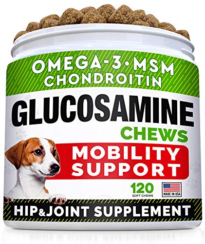 Glucosamine Treats + Allergy Relief Dog Bundle - Joint Supplement w/Omega-3 Fish Oil + Itchy Skin Relief - Chondroitin, MSM + Pumpkin + Enzymes + Turmeric - Skin & Coat - 120+180 Chews - Made in USA