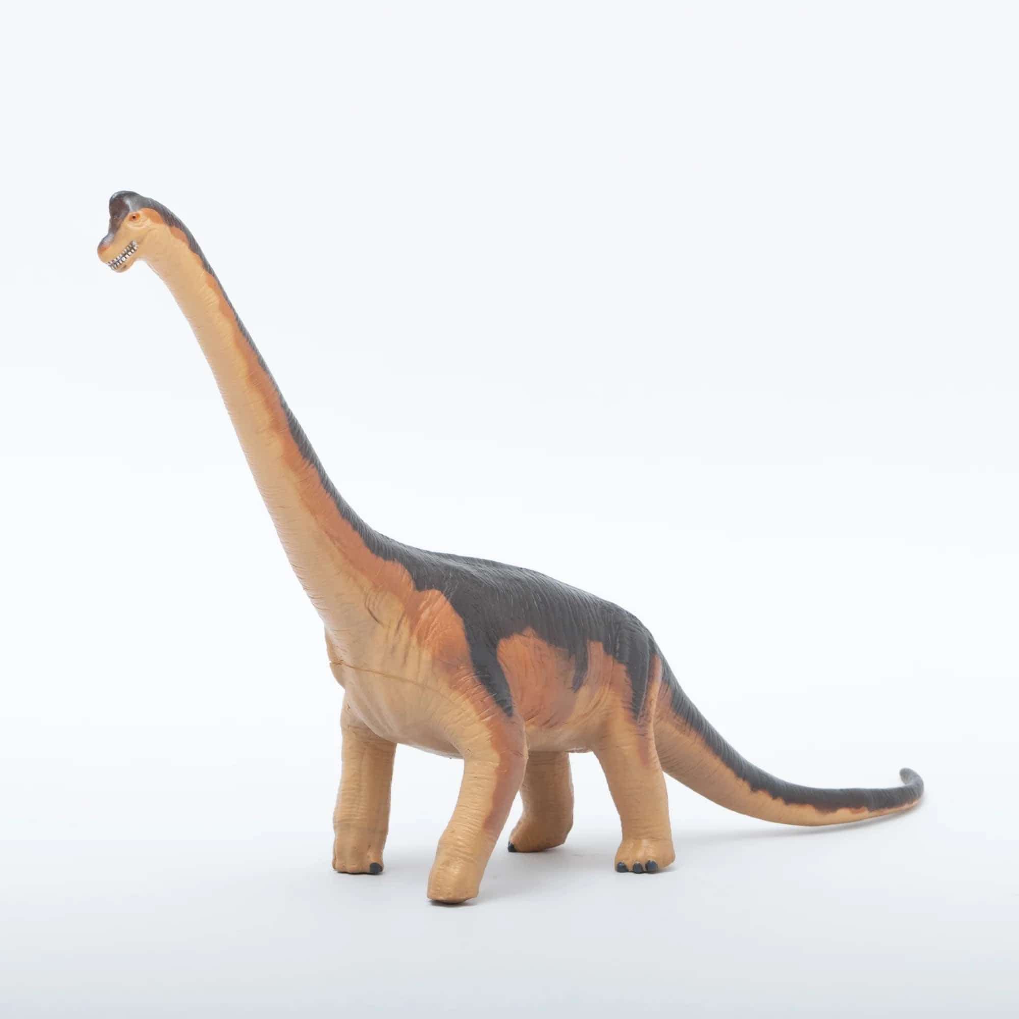 Amazon | フェバリット ブラキオサウルスビニールモデル FD-306 | 生物
