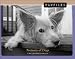 Pawfiles: Portraits of Dogs: A Bark and Smile Book