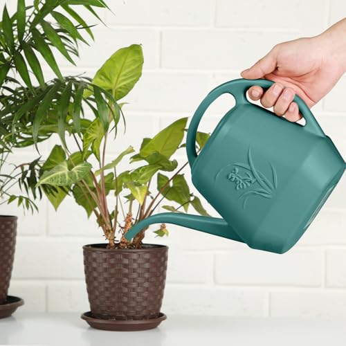 Smart Watering Can for Plants