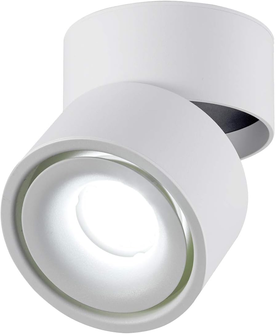 TOPMO 10W LED Ceiling Spotlight Fixture Surface Mounted