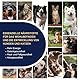 OMEGOR Pet Omega 3 für Hunde und Katzen mit EPA und DHA aus gereinigtem Fischöl - 60 Kapseln Omega3 IFOS Zertifiziert für die Gesundheit des Fells und der Gelenke Ihres Haustiers