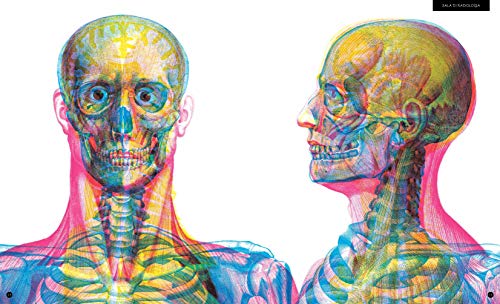 Il Corpo Umano. Scheletro, Muscoli E Organi: Un Caleidoscopio Di Colori. Ediz. A Colori - 5