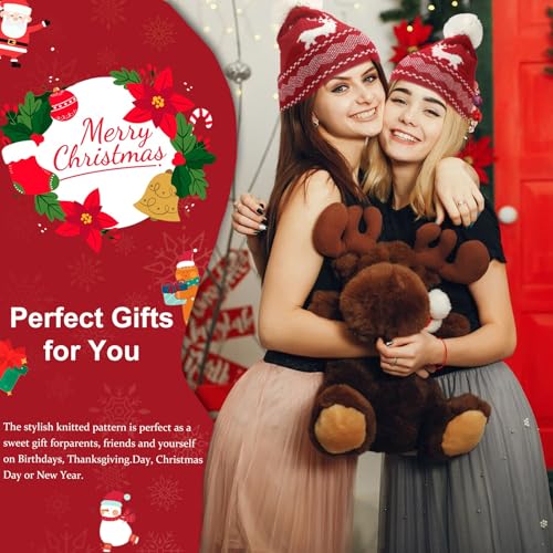 Women's Winter Knit Warm Scarf Super Soft Long Knit Scarves Winter Scarf for Women Cold Weather Accessories2