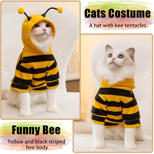 Costume chats sans poils pull hiver chaud chemises gilet chat L