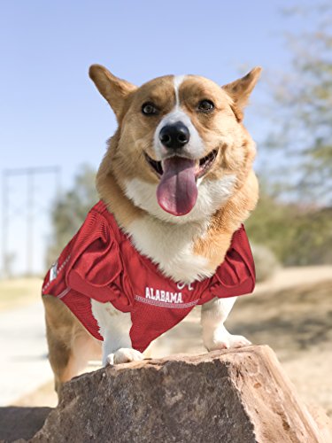 Image of Pets First Collegiate Alabama Crimson Tide Dog Mesh Jersey, Large