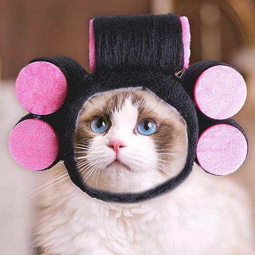 Gorro disfraz para perro y gato con peluca rizada negra miniatura 2