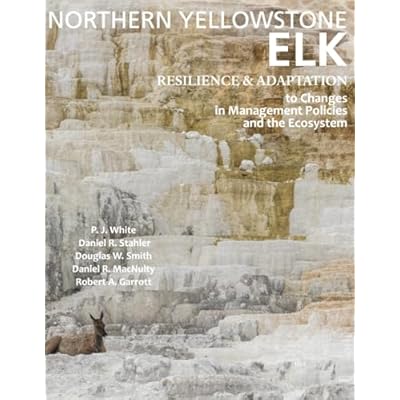 Northern Yellowstone Elk
