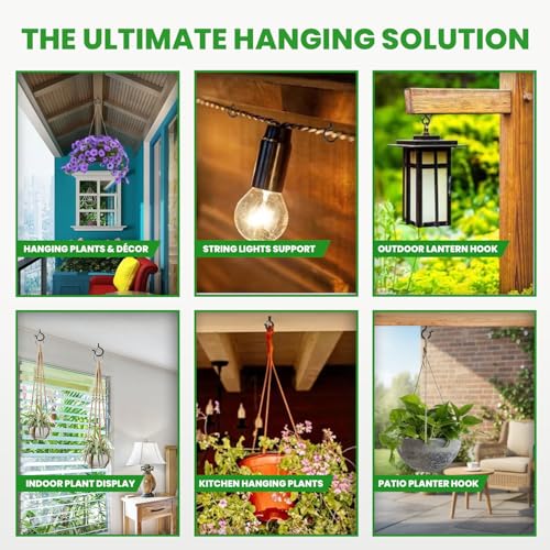 Image of 12 Pcs Ceiling Q Hanger Hooks for Hanging Plants with Safety Buckle - 2.2inches Plant Hooks Heavy Duty,Hanging Hooks for Cups,Lights and Utensils - Screw in Hooks for Indoor and Outdoor