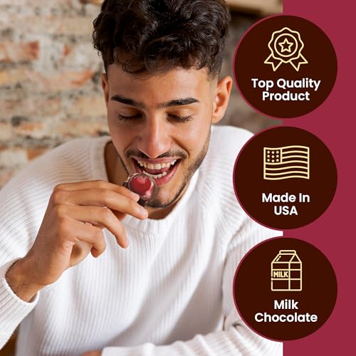 Queen Anne Dark Chocolate Covered Cordial Cherries | 13.2 oz | 20 Piece Gift Box | Whole Maraschino Cherry Creamy Filled Liquid Center | Holiday Party Chocolate Candy