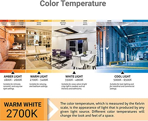 Sunlite Led G16 Globe 7W (60W Equivalent) Light Bulb Medium (E26) Base, Warm White 3 Pack #TOP6