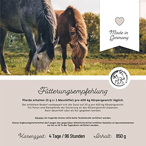 Foto von Annimally Gelenk Pulver für Pferde 850g mit Teufelskralle, MSM (Schwefel), Glucosamin, Hyaluronsäure, Chondroitin - Zusatzfutter für die Stärkung der Gelenke beim Pferd - Alternative zu Liquid