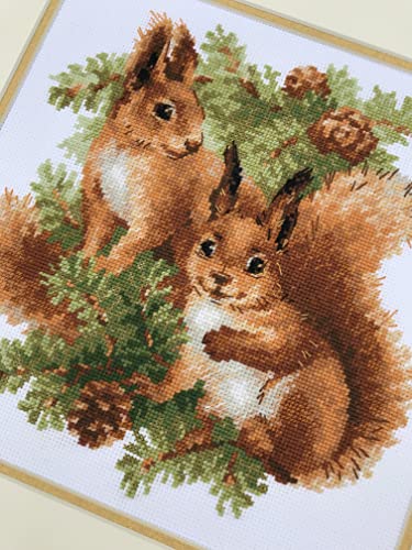 Riolis 1491 - Squirrels - Counted Cross Stitch Kit 9¾" X 9¾" Zweigart 14 Ct. White Aida 19 Colors #TOP2