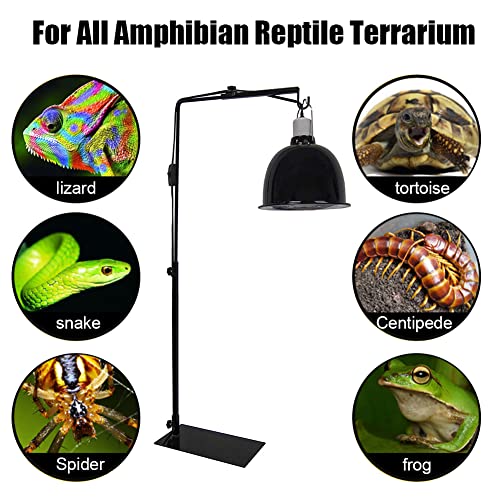 WingFly Portalampada per rettili, regolabile, per