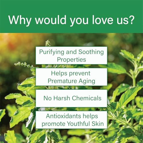 Image of Raissa Combo Pack Bath Soap - 85g (Pack of 12) | Includes Vrinda Tulsi, Haldi Chandan, Sandal Raja & Lime Lemon Soaps | Herbal & Refreshing | Skin-Friendly, Moisturizing & Gentle | Daily Use for All