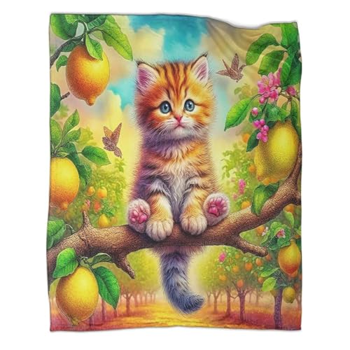 Couverture douillette chat 3D cadeau réconfortant pour lit adulte