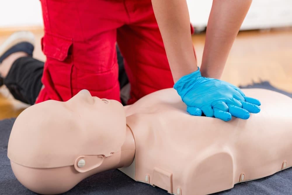 Labcare CPR Training Mannequin Half Body for First Aid Training, with Feedback Indicators for Patient Education and Teaching, CPR Feedback Light Indicator