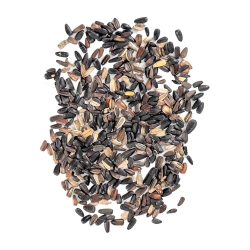 Image of Ferry-Morse Red Shades Bulk Sunflower Seed Mix, 15,000+, 1 lb