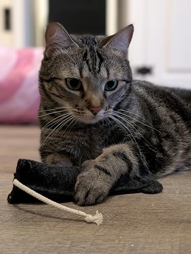 Kater Kasimir MÄUSERICH Deluxe - die handgemachte XL Katzenspielzeug Maus mit Bio-Katzenminze, Bio-Baldrian und Matatabi-Früchte-Füllung zur Selbstbeschäftigung