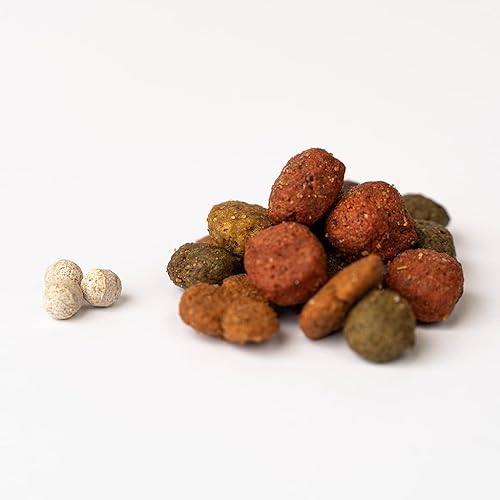 Miniatura 2 de Probióticos para perros por Tails 'N' Tummies