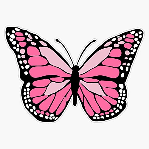 Image of Pink Butterfly Bumper Sticker Vinyl Decal 5 inch
