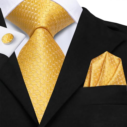 Image of Hi-Tie Mens Plaid Ties Classic Paisley Necktie with Handkerchief Cufflinks Set Business Stripe Tie
