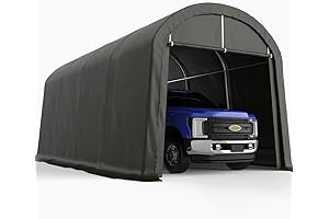 10 x 20 Heavy Duty Carport: Your King Bird of Outdoor Protection
