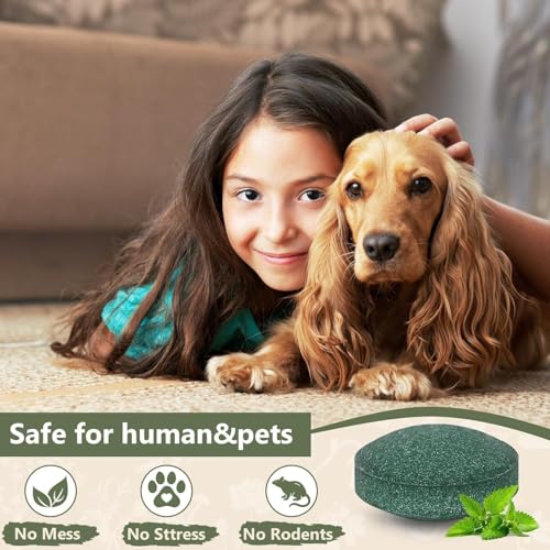 Image of Rat Repellent for Car & Home Rodent & Mouse Repellent Peppermint Oil to Protect Wires in Car, Bike & Truck Engine No Kill Only Repels Home Indoor-Outdoor Garage Rat Controller Pills to Keep Rodents Out of Car (4)