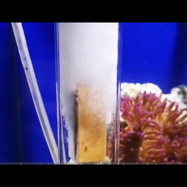 プロテインスキマー （水槽用） No.356