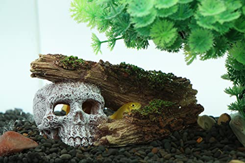 Image of AQUA KT Aquarium Landscape Skeleton Head Skull with Tree Branch for Betta Cichlid Fish Hiding Rock Aquatic Decoration