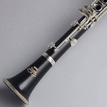ヤマハ YCL-853IIV SE Vカスタム クラリネット【美品】 Amazon.co.jp: ヤマハ YAMAHA Bフラットクラリネット カスタム
